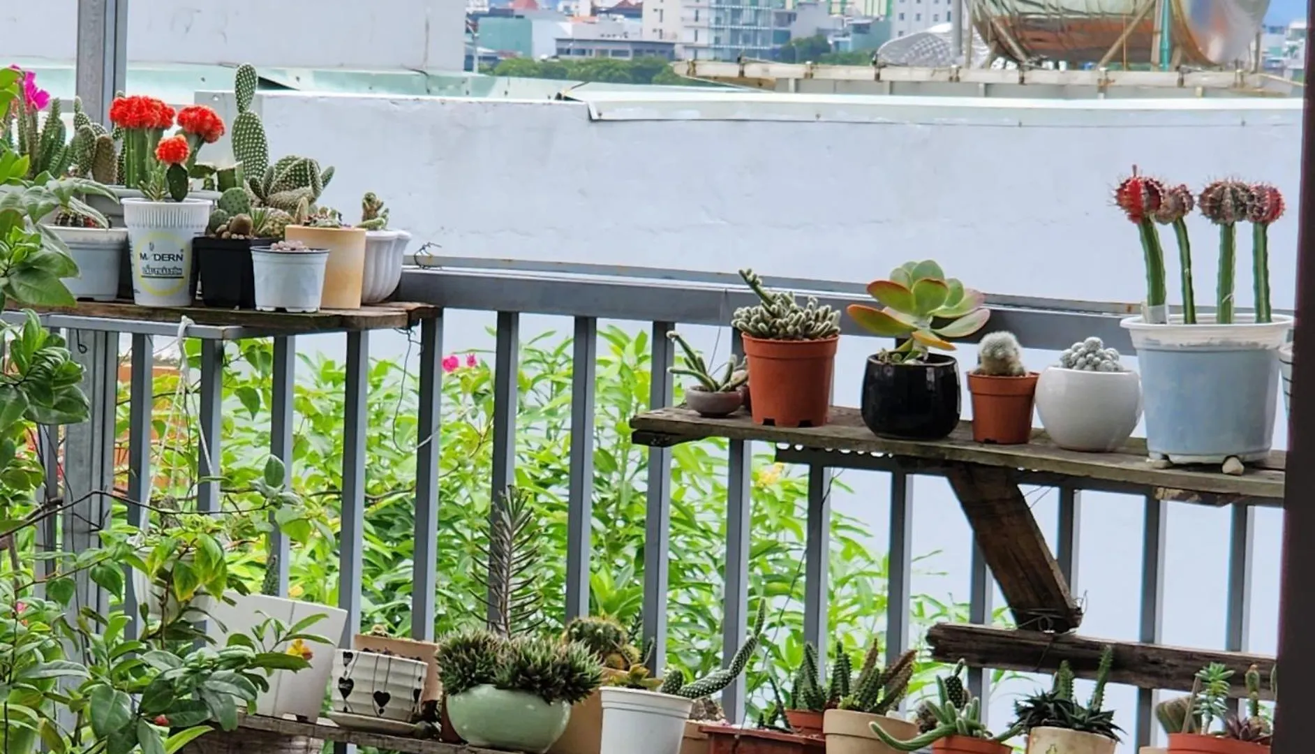 Guest house Sena Home 3#1-Near Danang Dragon Bridge-Han River Vietnam